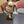 PLUSH WINTER HAT COLORFUL 431204