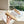 cd ballet flat beige sedge mop front