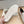 Venice Walk Loafer Cream Suede