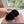 LP Floaty Flat Black Suede  992984