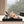 CC Sandals with bow tie Nude 4,5cm Lambskin 202872