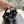 CC Sandals with bow tie Black 4,5cm Lambskin 202875