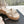 CC Mules Sandals Cream 6cm Lambskin 202886