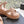 CC Mules Sandals Pink Nude 6cm Lambskin 202887