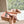 Miu Brown Croc Embossed Slide Sandals with Embellished Heel 223917
