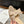 cd sandal adiorable 80 beige grosgrain lambskin