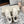 BALL STAR SNEAKERS BEIGE CALFSKIN WITH WHITE STAR