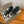 BALL STAR SNEAKERS WITH WHITE CALFSKIN STAR TIMBER GREEN SUEDE UPPER