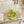 BV 26s Stretch Lace-Up Sandal 9cm Neon Green Metallized Mesh Leather