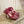 BV 26s Stretch Lace-Up Sandal 9cm Punch Pink Metallized Mesh Leather
