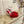 Jimmy Choo Saeda 100 Red Lace Leather 688242