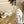 Fendi F-Light Sneakers White Cowhide Mesh 688134