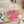 CD Thong Sandal Hot Pink Rubber 687622