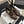 CC 25C Moccasins Chocolate Patent Leather
