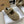 UGG Logo Mary Jane Flat Khaki Brown Wool 523101