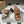 CD 25 D-Lane Heeled Slide Double Strap Calfskin