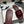 25S Embroidery Double C Mule 15mm Wine Velvet 247579