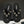 CC 25P Double C 5 Motifs Thongs Sandal Black Sheepskin 247697
