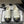 25K Double C Buckle Thick-Soled 25mm Loafer White Black Lambskin 247710