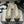 CC 25S 20mm Chain Bow Single Flat White Sheepskin Black Grosgrain 247655