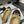 CC 25S 60mm Chain Bow Single Pumps Beige Sheepskin Black Grosgrain 247662