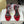 The Row 25S Strap High Heel Sandals 85mm Red Snake Pattern Cowhide 286187