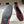 Manolo 25 Ballet Flats Red Mesh Fabric 319740