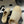 CC 25 Platform Mules Begei Sheepskin 356396