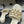CC 25 Mule 5cm White Sheepskin 364719