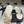 CC 25B Chain Bow Flip-flops Ivory Sheepskin 393986