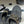 CC 25B Chain Bow Flip-flops Black Sheepskin 393987