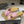 CC 26 Criss-cross Strap Slipper Pink Beige Sheepskin 593301