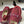 GG 26ss Slip-on Loafers Red Double G Canvas 593493