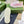 GG Sneaker Tennis 1977 Trainer Pink Pastel