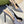 GC Embellished Slingback Dark Gray Patent Leather 294623