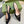 GC Horsebit Slingback Pump 50mm Black Canvas Sheepskin 294558