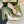 GC Horsebit Slingback Pump 100mm White Sheepskin 294568