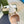GC Horsebit Slingback Pump 100mm White Sheepskin 294568