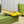 GC Horsebit Slingback Pump 50mm Yellow Canvas Sheepskin 294545
