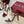 HIGH SANDAL 10 CM IN BERRY RED GLOSSY CALFSKIN