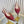GC Crystal Horsebit Slingback 10mm Red Canvas lambskin 294612