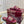 GC 25 Horsebit Sandals 10mm Red Suede Sheepskin 294649