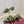 GC 25 Horsebit Sandals 50mm Dark Green Suede Sheepskin 294655