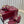 GC 25 Thong Sandal Red Suede Sheepskin 294657