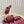 GC 25 Horsebit GG Sandals Red Canvas 294673