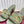 GC 25 Horsebit GG 50mm Sandals Dark Green Canvas 294679