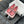 cc mary jane pink black quilted calfskin