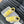 cc sneaker beige tweed yellow suede