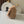 CC Nature Flap Bag 27cm Beige Tweed 275480