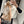Scarf 180 CM Beige Mix White Wool